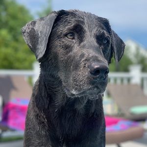 Meet your Posher, Jack